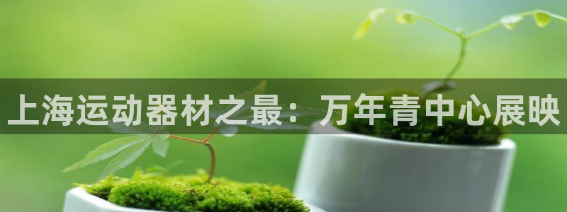 yy易游体育官方正版app娱乐是那个系列的台子:上海运动器材