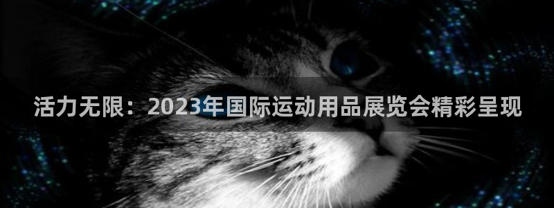yy易游体育官网下载招商电话号码:活力无限:2023年国际运
