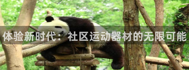 yy易游体育官网下载平台假的吗是真的吗吗:体验新时代:社区运